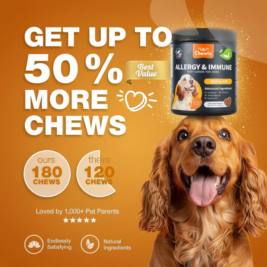 Dog with a supplement bottle on an orange background, promoting more chews with a 50% increase.
