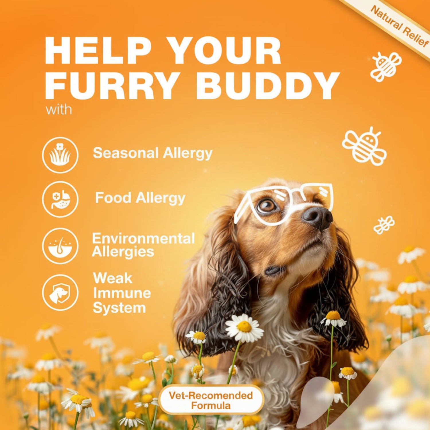 Dog wearing goggles with text about allergies and immune system on an orange background