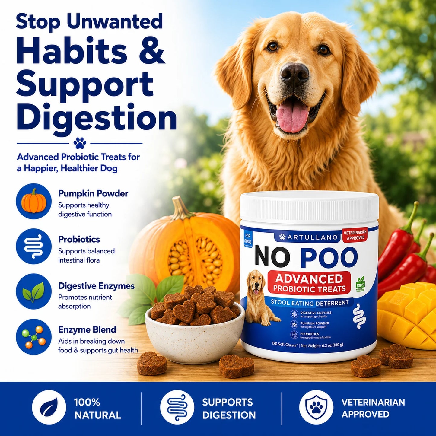 Golden Retriever next to No Poo probiotic chews for dogs with digestive support ingredients.