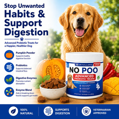 Golden Retriever next to No Poo probiotic chews for dogs with digestive support ingredients.