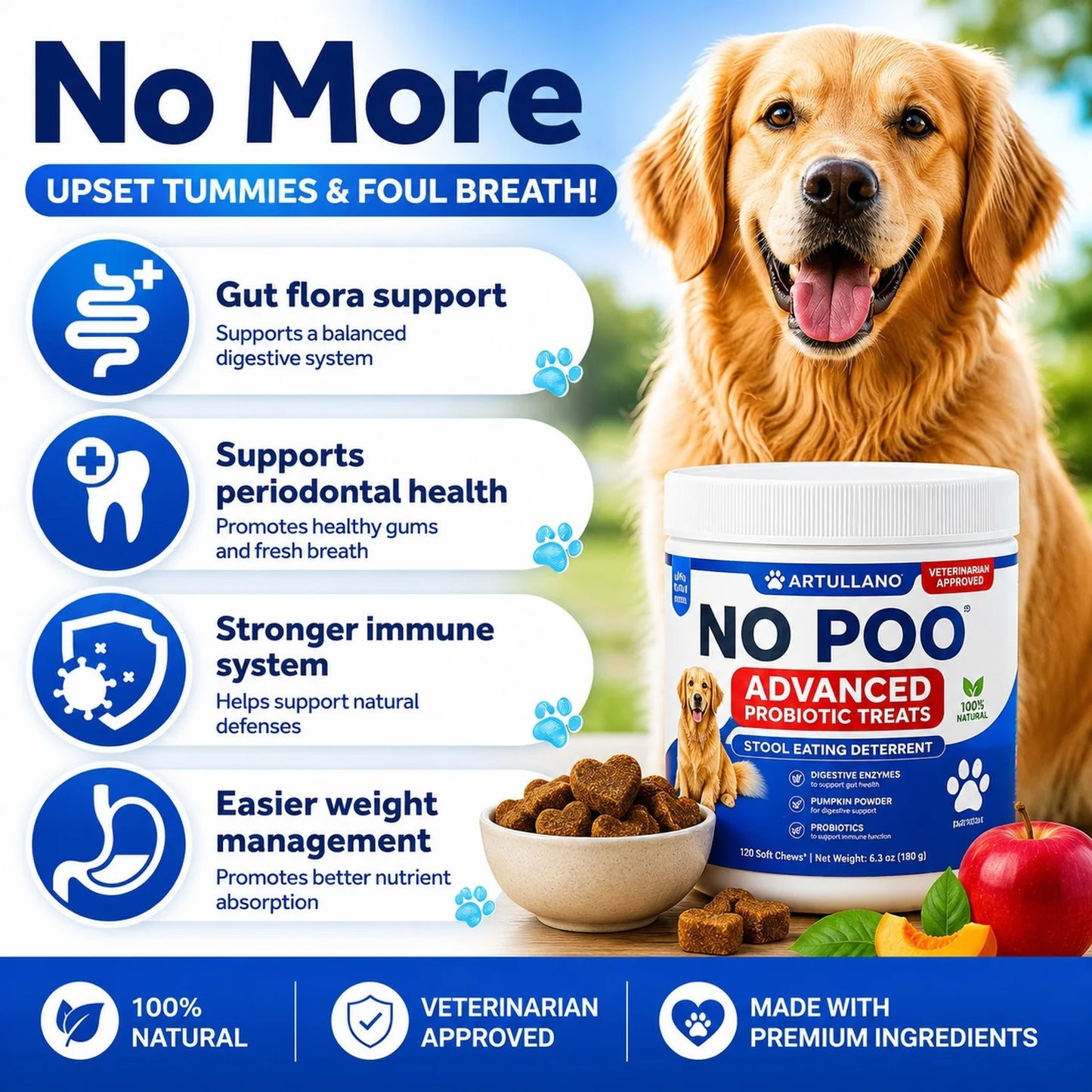 Dog probiotic chews for gut health and everyday digestive support displayed with a Golden Retriever.