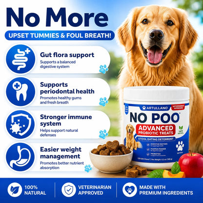 Dog probiotic chews for gut health and everyday digestive support displayed with a Golden Retriever.