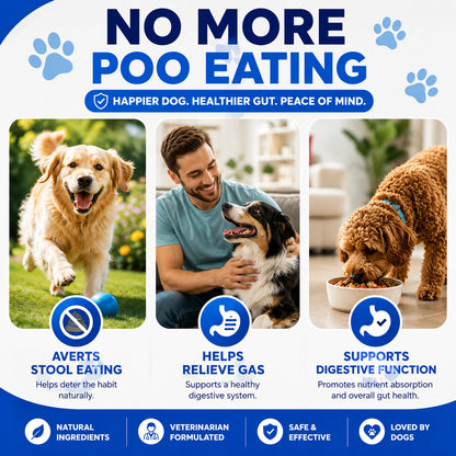 Dogs with No Poo Chews for digestive wellness and coprophagia support as part of a consistent care routine.